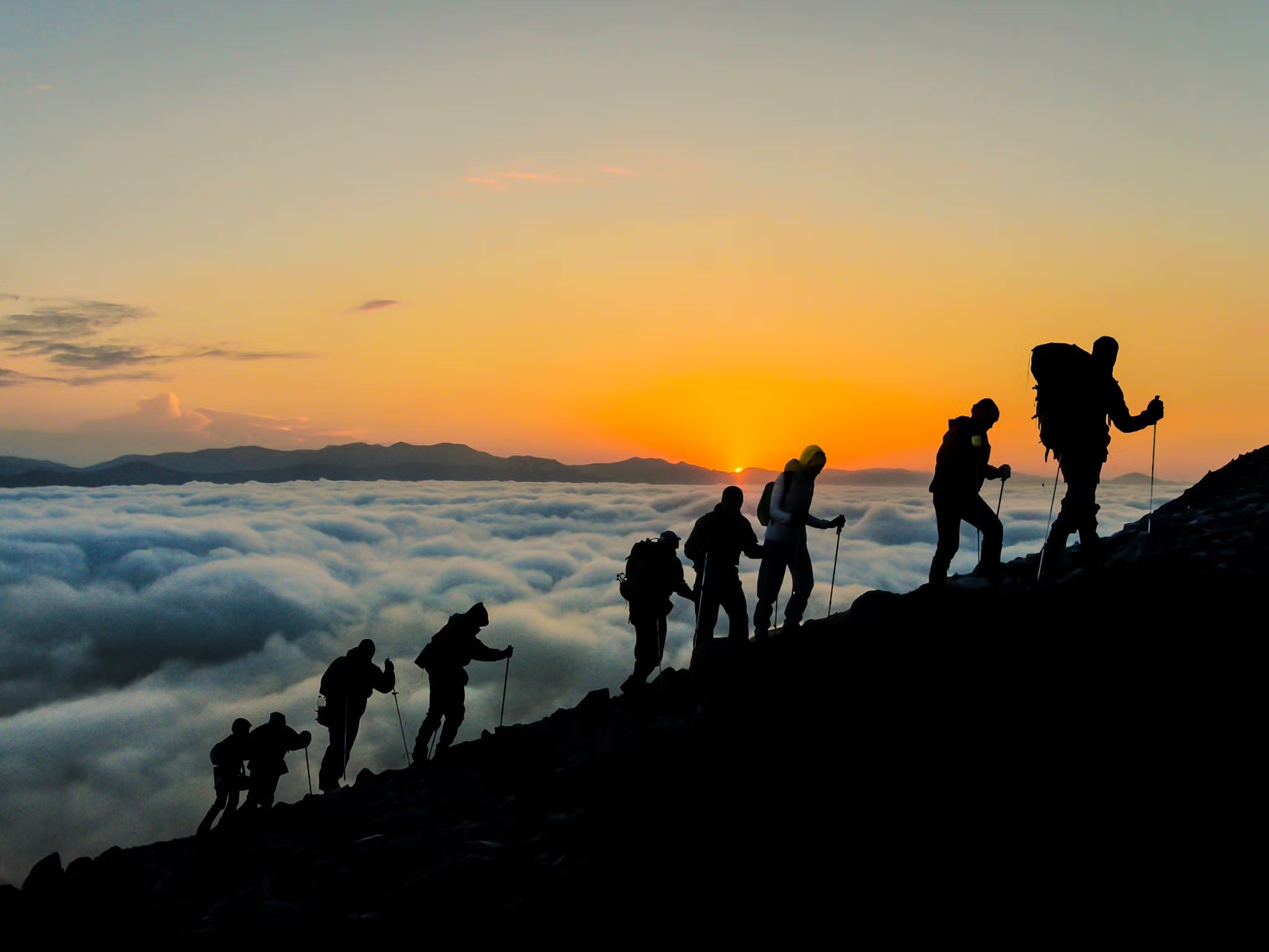 Create an image of a diverse group of hikers walking on a lush, green forest trail. They are all wearing eco-friendly hiking clothes, made from sustainable materials like organic cotton and recycled p
