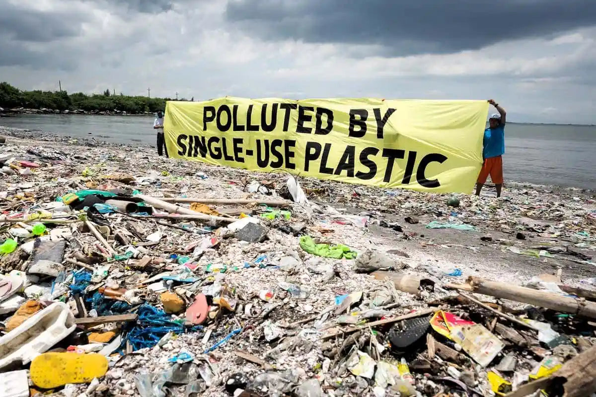 A World Without Waste