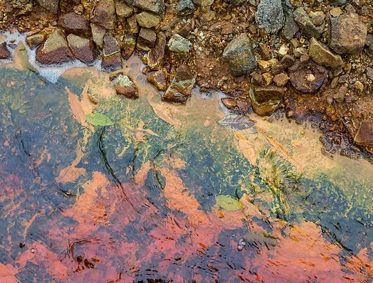 Polluted water