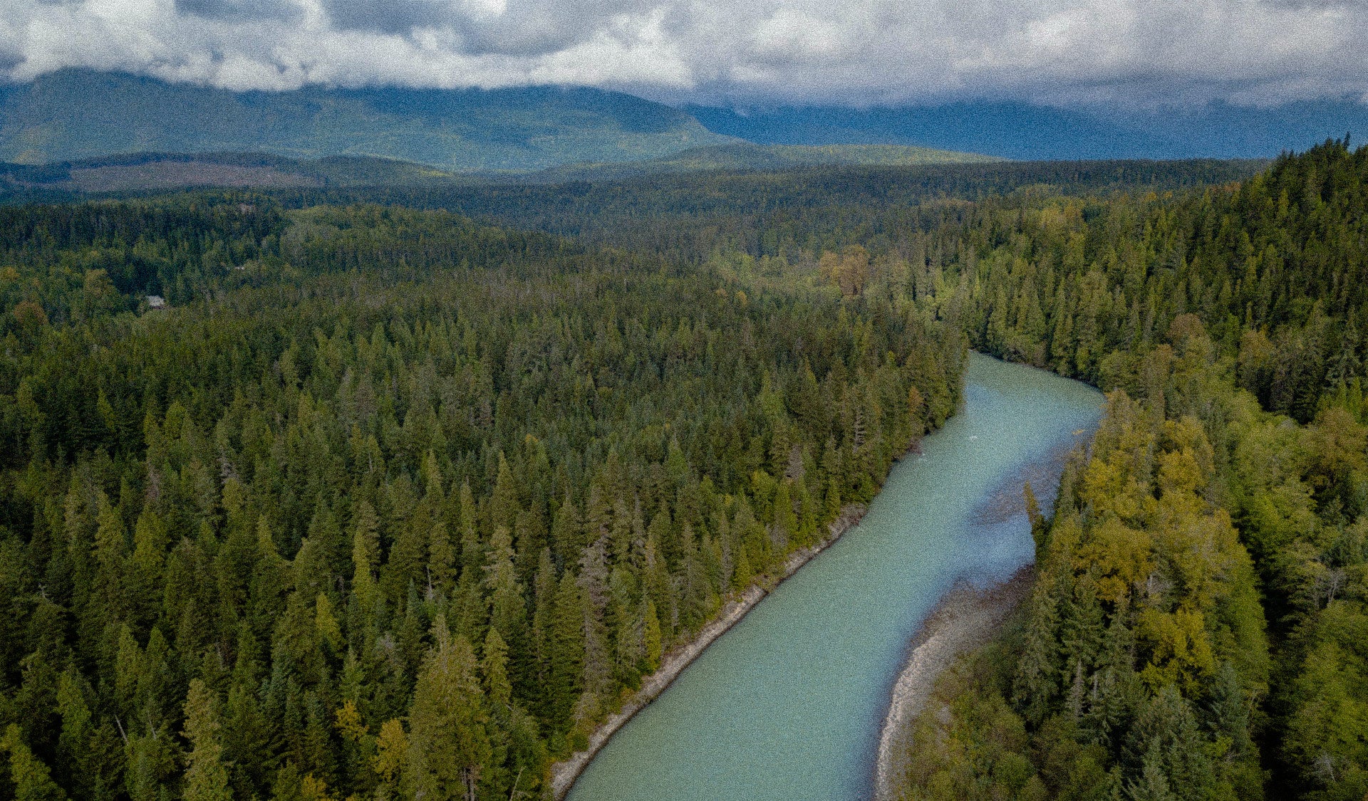 landscape with forest and river