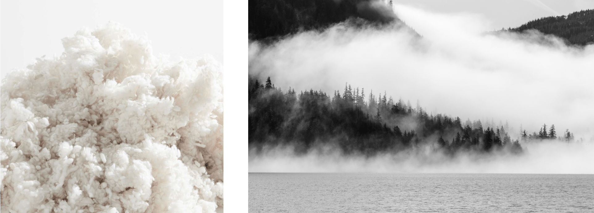 picture of cotton next to a picture of a river landscape