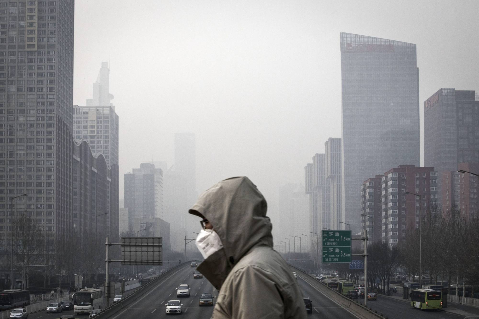Revitalizing Our Cities: Projects Enhancing Urban Air Quality