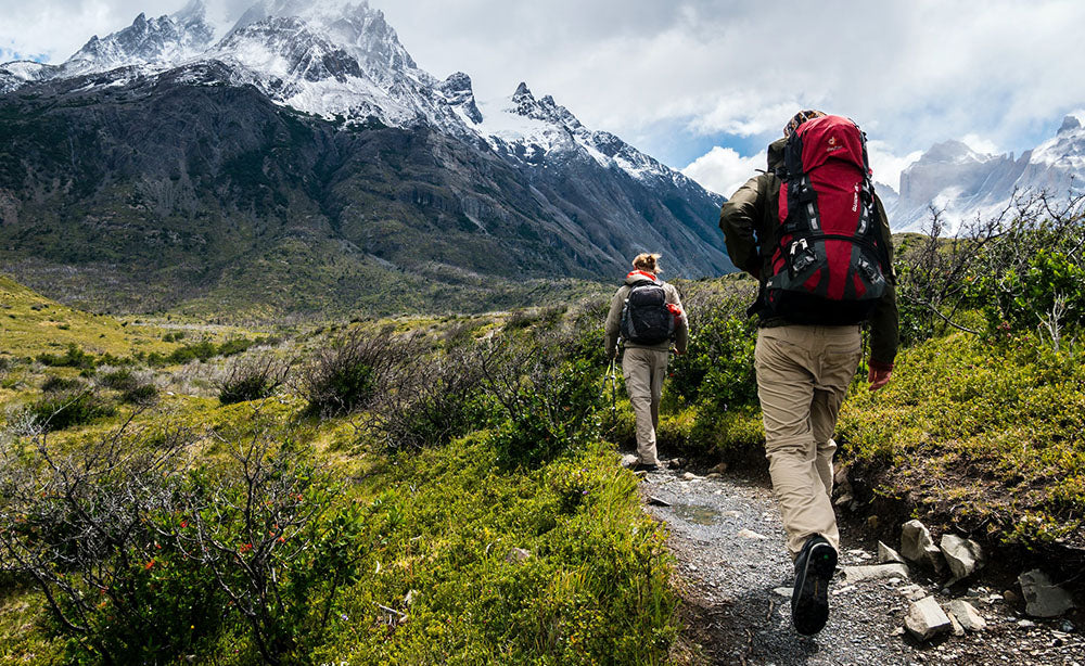 Create an image of hikers in a scenic, pristine wilderness, wearing eco-friendly outdoor clothing made from recycled materials. Their outfits blend harmonious colors that reflect nature—forest greens,