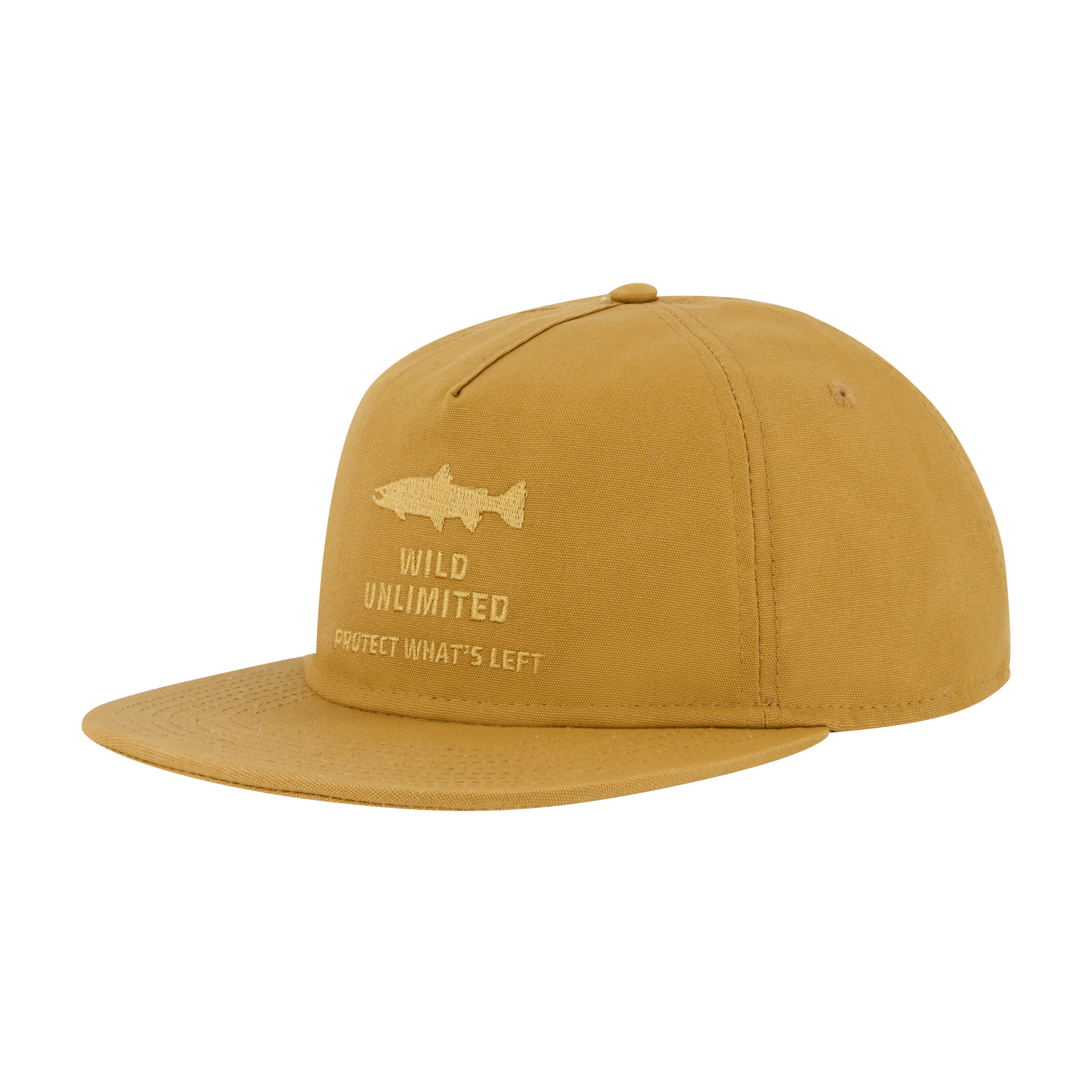 Protect What's Left 5 Panel Hat