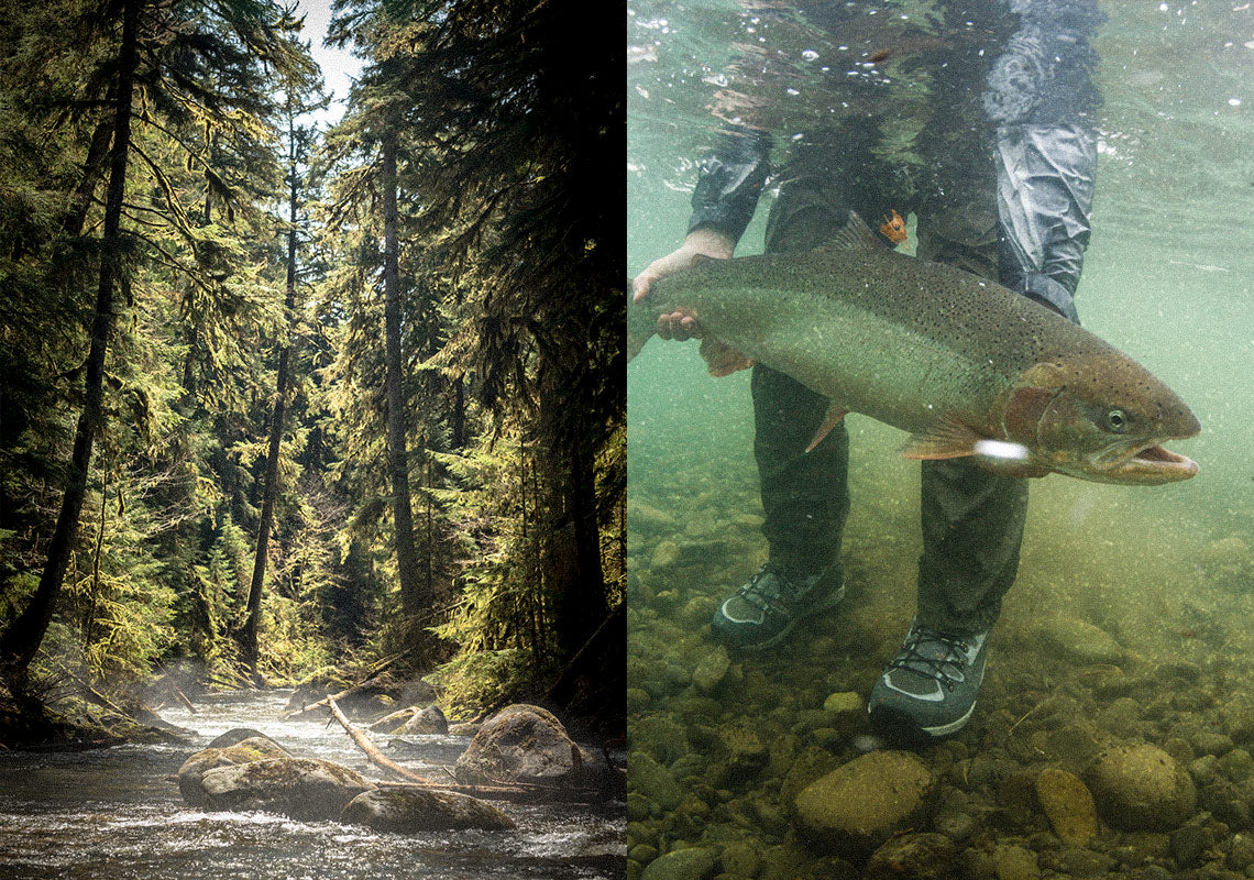 about sustainability